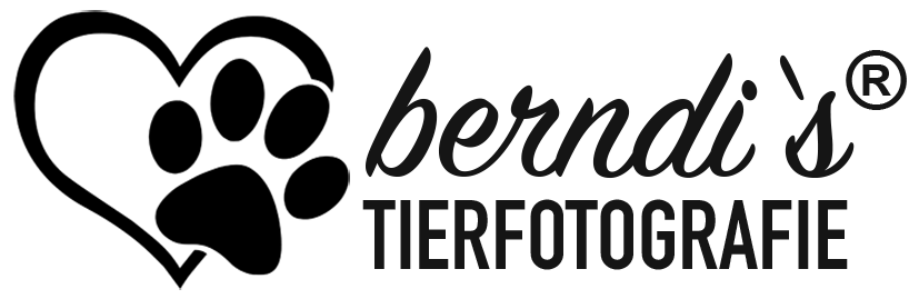 berndi's Tierfotografie
